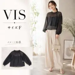【美品】VIS シアーブラウス 黒 長袖 シースルー 抜け感 ゆったりのサムネイル