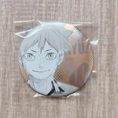 ハイキュー　デコレクション缶バッジ　第3弾　日向翔陽