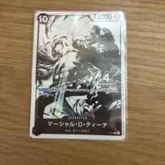 【新品】マーシャル・D・ティーチ P-100