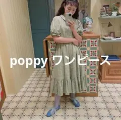 2026年最新】あさぎーにょ poppyの人気アイテム - メルカリ