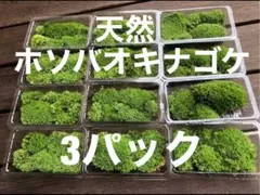 クック様 リクエスト 2点 まとめ商品