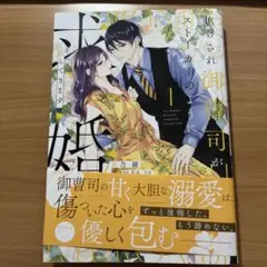 8/20発売　焦らされ御曹司がストーカーのように求婚してきます1