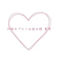 テニスの王子様 新テニ テニプリ 四天宝寺 ポーチ