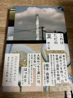 これはただの夏