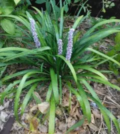 mintokun様 リクエスト 3点 まとめ商品