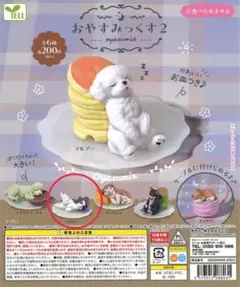 パグ カプセルトイ