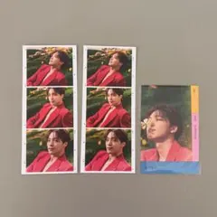 seventeen FACE THE SUNトレカ ディノ　セット