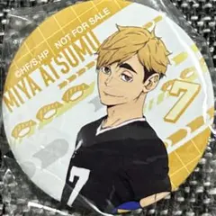 日向翔陽 ピンバッジ 7