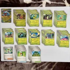 メガフシギバナex rr デッキパーツ　進化ライン