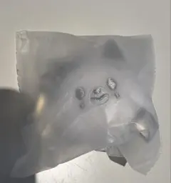 SKZOO FACE KEYRING SILVER Ver. フォクシニー