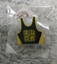 Item thumbnail for item 3330b73b-4e90-4119-8e11-b68e946815e1