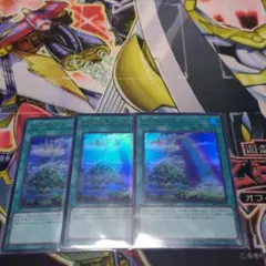 虹の橋　ビフレスト　ウルトラ　3枚