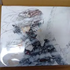 ヴァンパイア騎士 キャンバス 樋野まつり原画展 - メルカリ