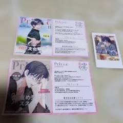 春と嵐のモンスター　 ポストカードのみ