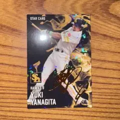 プロ野球チップス カード 2025 柳田悠岐　スターカード