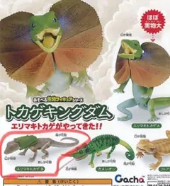 Item thumbnail for item a0db73e7-a865-4b65-8cf2-304abb1761d3