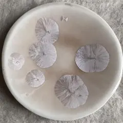 Item thumbnail for item 3dae4dd8-c8c8-4caf-a189-ce6129fb1b73