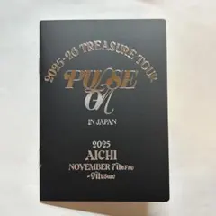 treasure PULSE ON プレミアムシートグッズ