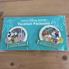 東京ディズニーリゾート ピンバッジセット