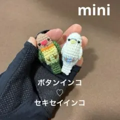 ◇ 文鳥♡白文鳥♡カラス♡セキセイインコ あみぐるみ かぎ針編み
