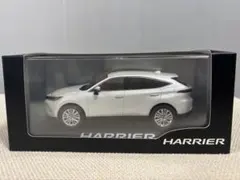 Item thumbnail for item 0050d881-04ae-4ed9-9b70-f2b4259e7a85