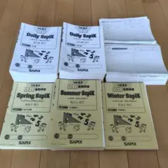 SAPIX 2022年度 4年生　デイリーサピックス　算数　全数セットフルセット SAPIX 2022年度 4年生 デイリーサピックス 算数 全数セットフル