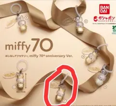 miffy70