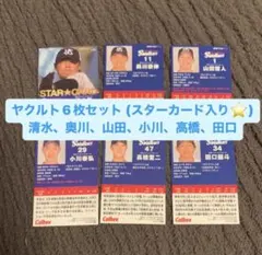 プロ野球チップス2022 ヤクルトスワローズ6枚セット