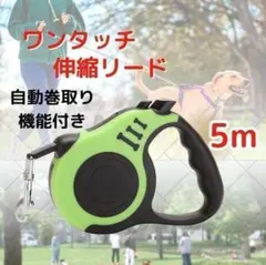 伸縮リード 犬用 緑 グリーン 自動巻き取り ロック付き 5ｍ 散歩 ペット用品のサムネイル