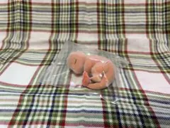 【即購入OK⭐︎】ポケモンスリープ フィギュア ヒトカゲ 箱なし