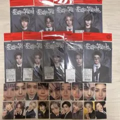 &TEAM Go in Blind 月狼 CD 9形態セット トレカ付き