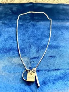 超美品】GUCCI ペンダント トップ925＋社外チェーン 男女兼用 山羊座 