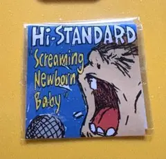 hi-standard ミュージシャン