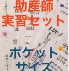 助産師 助産学実習セット ポケットサイズ 学習資料 実習 事前学習 就職
