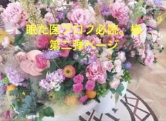 【専用】眠た医プロフ必読。様　第二弾ページ