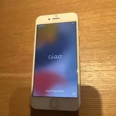 Apple iPhone 7 シルバー 本体　11