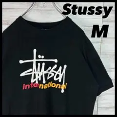STUSSY ロゴ Tシャツ international ブラック M
