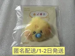 zeroni ZEROBASEONE キムテレ テニニ ぬいぐるみ - メルカリ