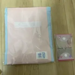 Item thumbnail for item ec8671b3-b655-4a0a-96fe-a8a7a2968783