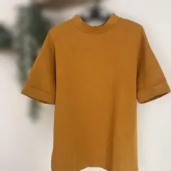 ZARA TRAFALUC 半袖 Tシャツ マスタード Lサイズのサムネイル