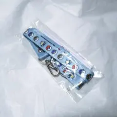 【限定】Pokemon GO Plus + 購入特典 ネックストラップ カビゴン