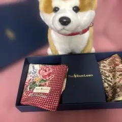 Polo Ralph Lauren ハンカチ 2枚セット