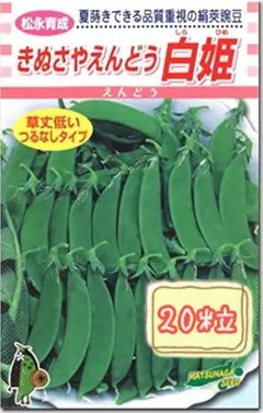 ○作りやすい 瓜 種セット 一夜漬漬 漬物に最適 - メルカリ