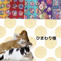 猫首輪 チェックのリボン ＋セーフティバックル ⑩-EB12