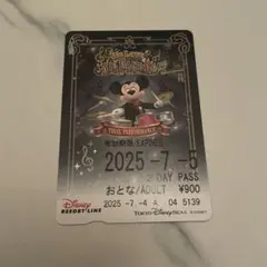 2025年最新】ディズニー リゾートライン フリーきっぷの人気