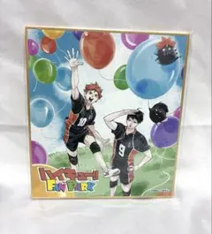 【匿名配送】ハイキュー!! ファンパーク 入場特典色紙