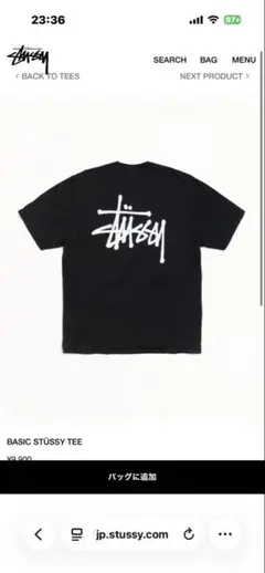 H*K様 ステューシー　Tシャツ