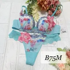 新品ワコール サルート02Gフローラ ブラジャー&ソングセットB75 ソング
