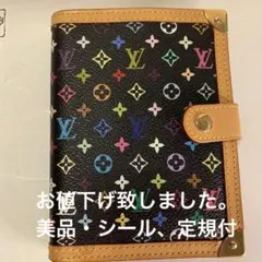LOUIS VUITTON※希少※手帳マルチカラー