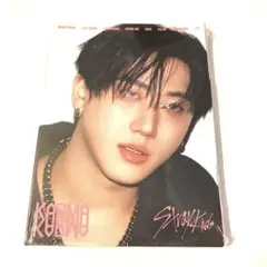 Stray Kids KARMA 未開封 チャンビン